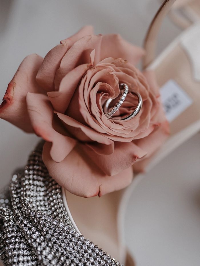 Ringe in einer altrosa Rose